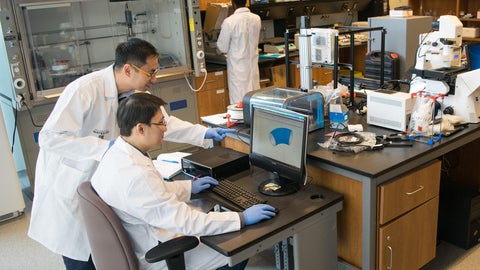 Two people working on laptop wearing white coats. 