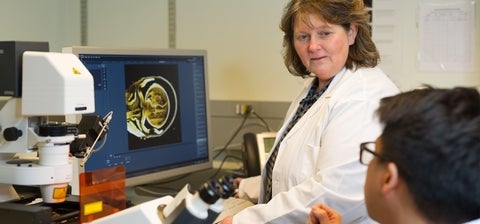 Research: Faculty member listens as student asks question in the lab.