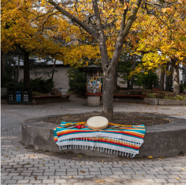 Indigenous items under tree on campus, including blanket and drum