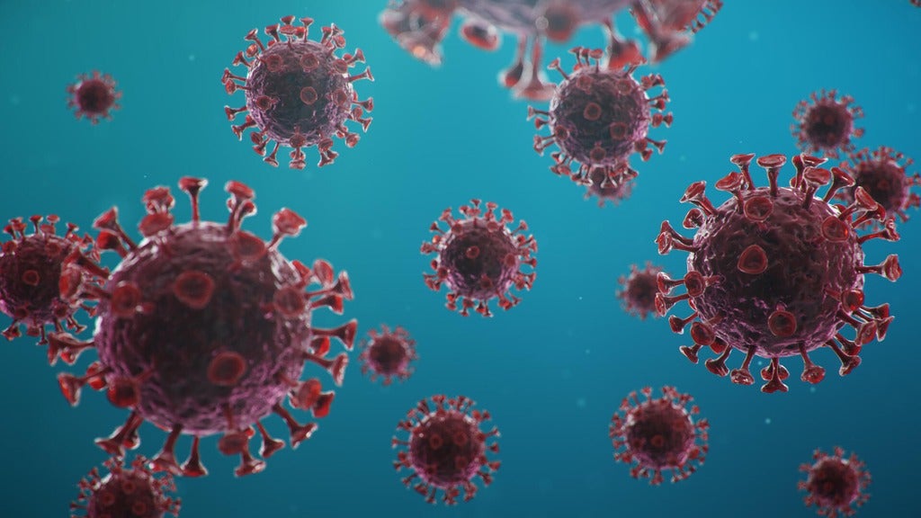 The covid virus