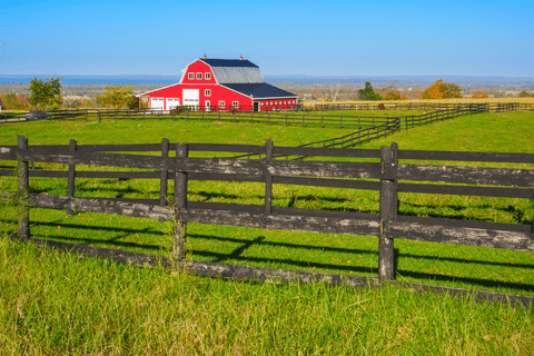 A bright red barn with a dark roof sits beyond green fields and black wooden fences under a clear blue sky, with rolling countryside in the distance. 