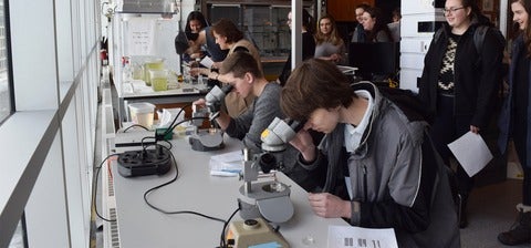 Anthropology students touring pharmacy labs and using microscopes