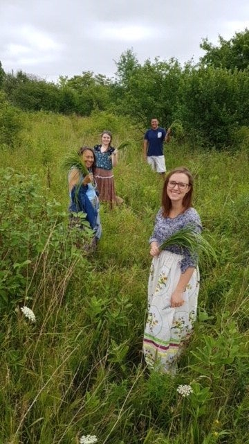 Four students on a medicine walk in a field