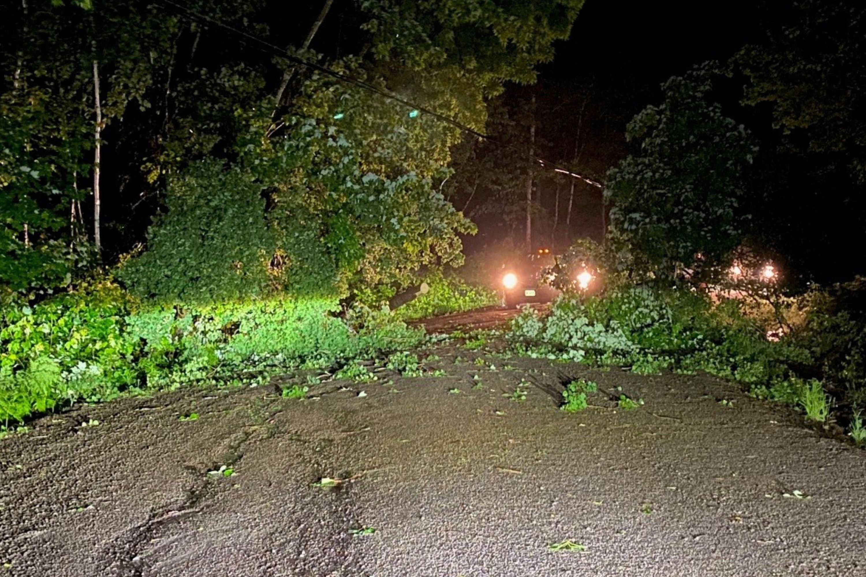 Fallen trees blocking the road, cars stuck behind them