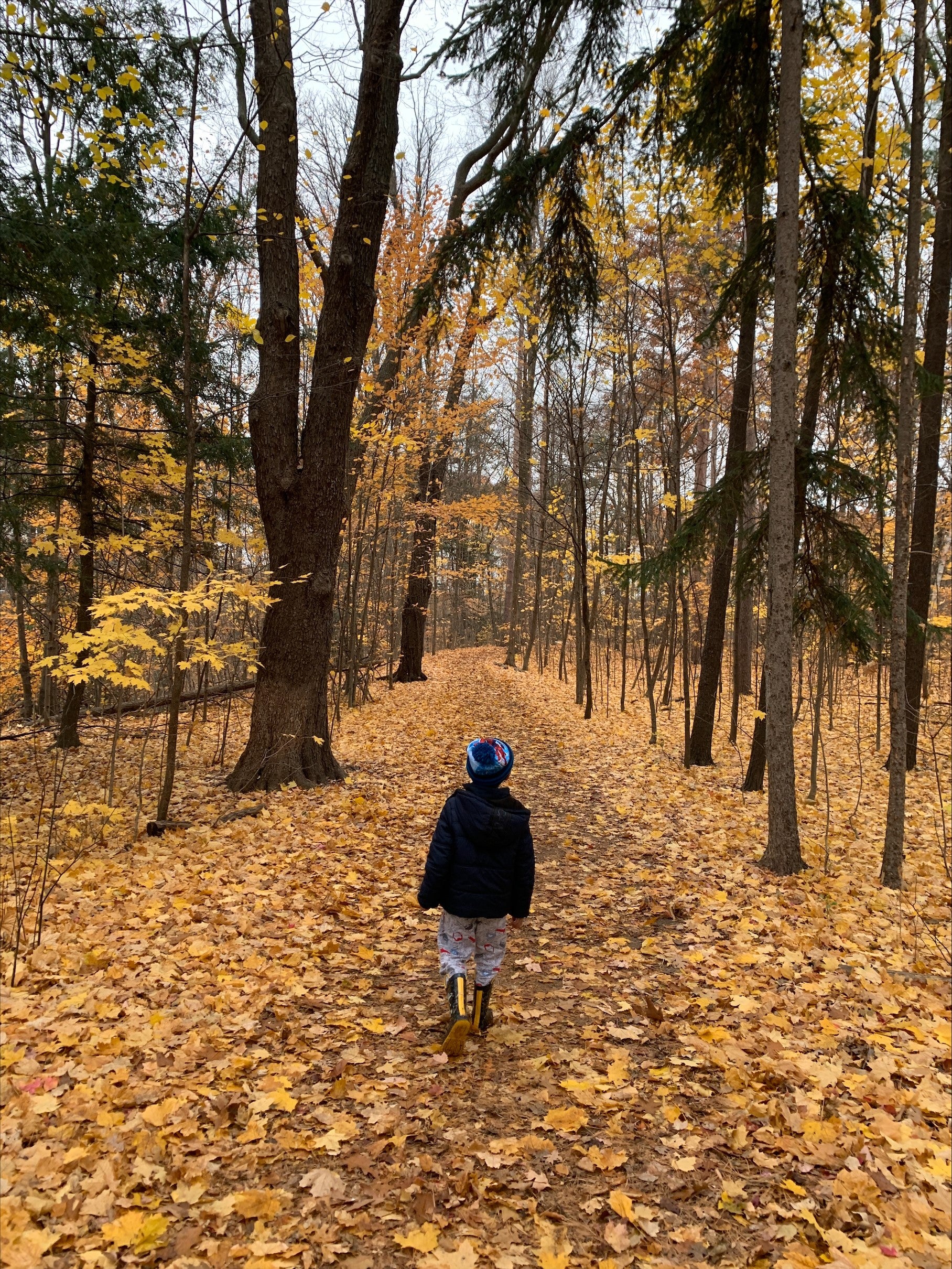 Boy running through trees in fall