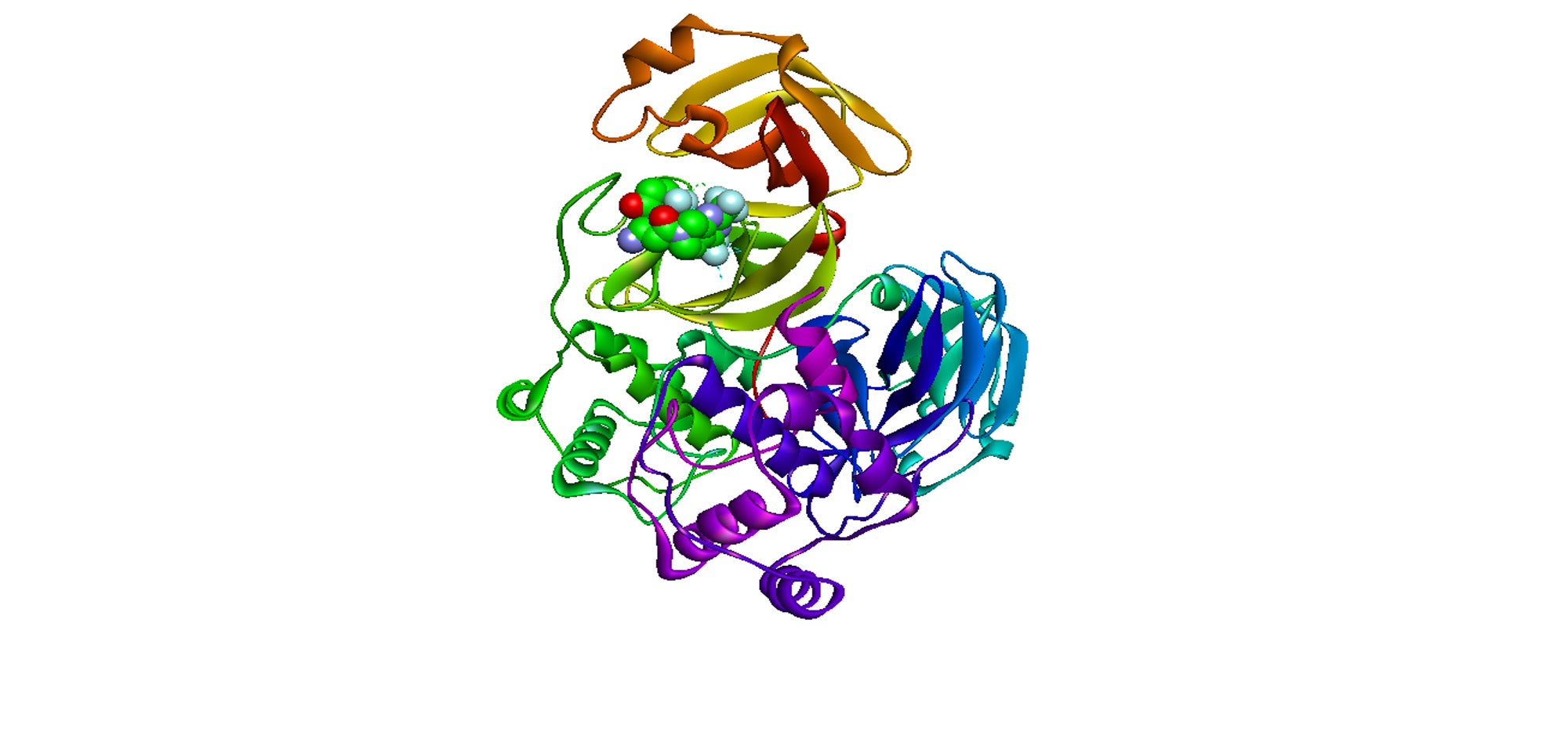 A known drug (DPP4 inhibitor) bound to Covid-19 protein called SARS-CoV-2 Mpro, which is involved in its replication.