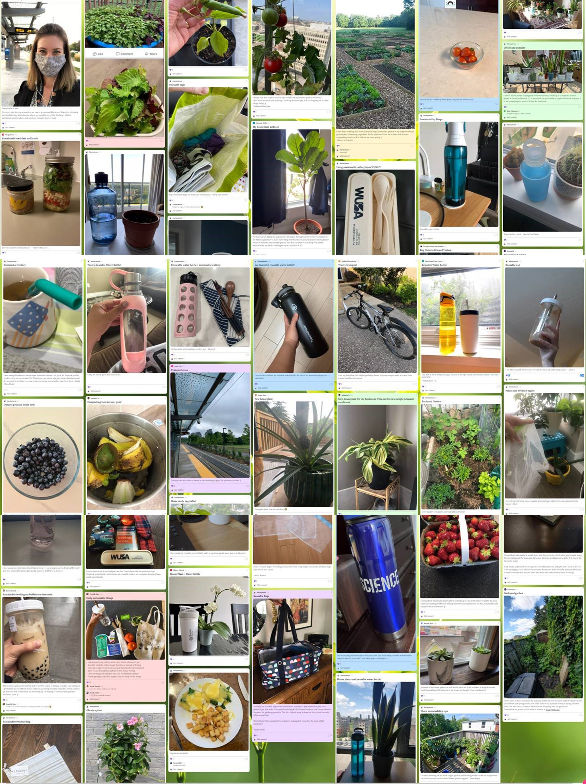 Submitted photos of gardens, water bottles and other sustainable actions