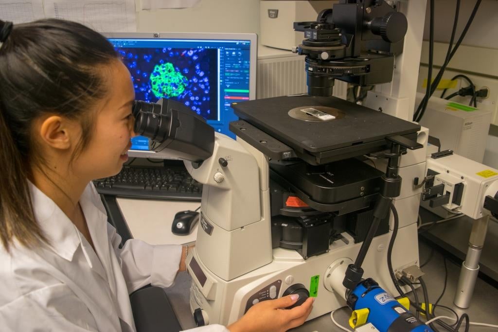 Monica examining islets through microscope