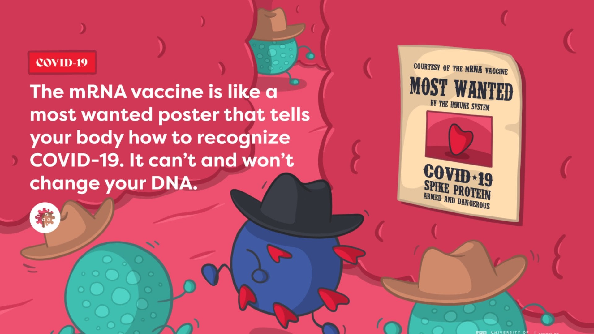 mRNA vaccine is like a wanted poster that tells your body how to recognized COVID-19. It can't and won't change your DNA