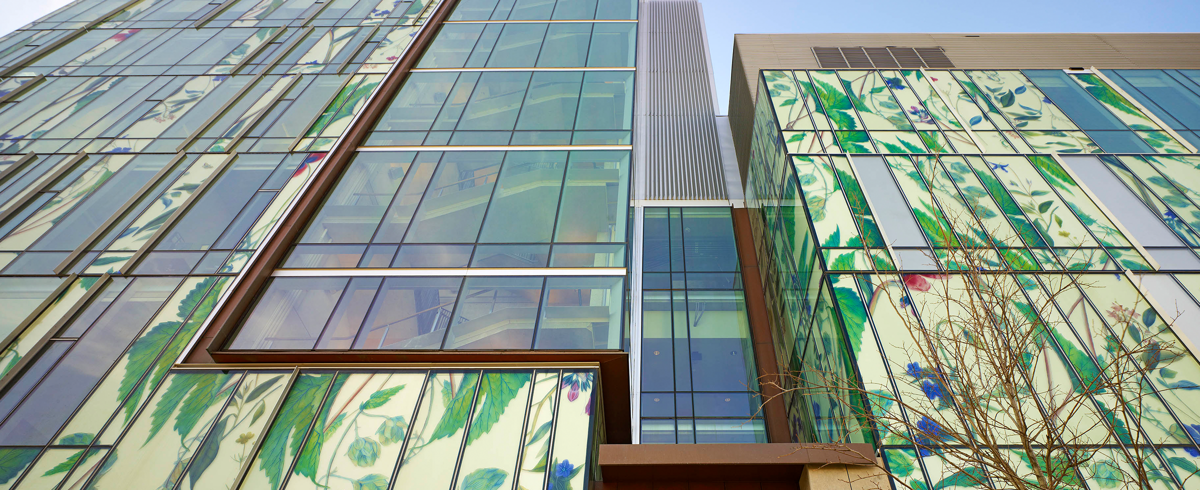 School of Pharmacy wall with leaf and flower patterns