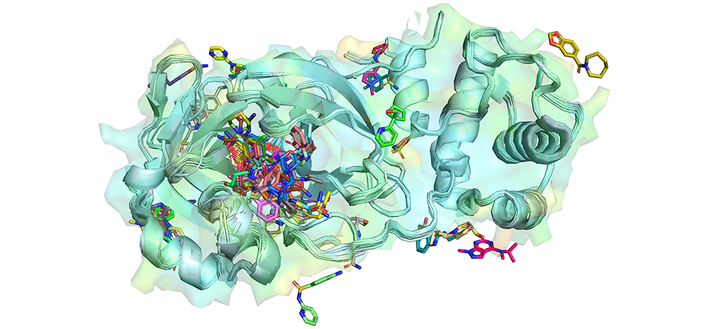 A 3D rendering of several small molecule-bound Mpro structures overlapped over each other