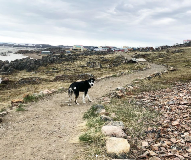 Rosie running up a road