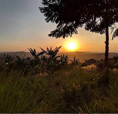Uganda sunset over a lush green forest