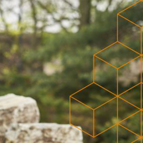 an overlay of cubes stacking on top of each other with a nature background blurred below