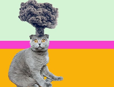 cat on a colourful background with its head exploding in a cloud of smoke