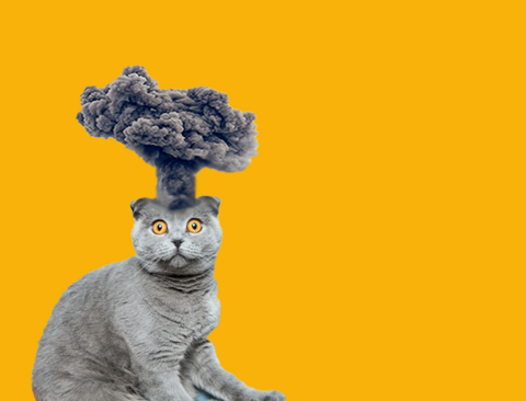 a cat who's head is exploding in a puff of smoke