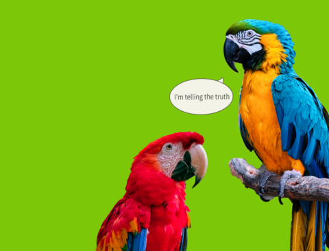 two parrots talking with speech bubble that says "I'm telling the truth"