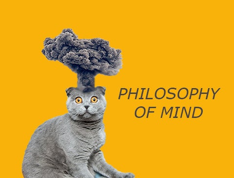 cat with head exploding in a puff of smoke and text " Philosophy of Mind"