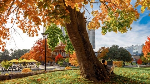 Waterloo campus in fall.