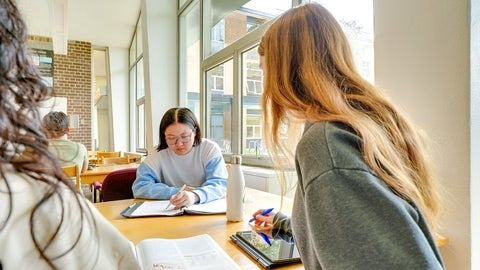 Students studying together at the Physics Tutorial Centre.