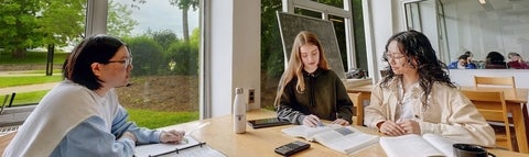 Students studying together at a large table.