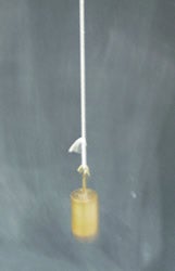 Photograph of a simple string pendulum