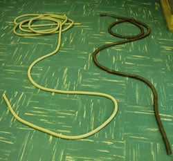 Photograph of a rope and a long spring