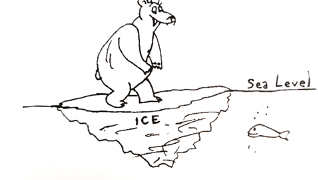 Polar bear walking on ice relative to sea level.