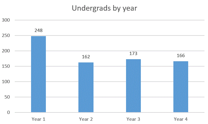 Number of undergraduates by year of enrolment: year 1 (248), year 2 (162), year 3 (173), year 4 (166).