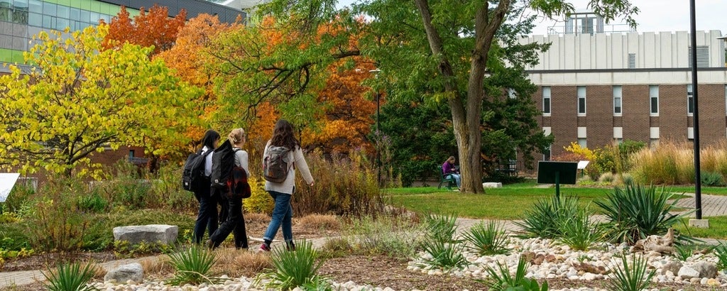 Students walking outside
