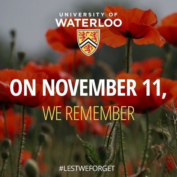 Texting saying On November 11, We Remember in field of poppies 