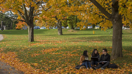 Students seated beneath a tree 