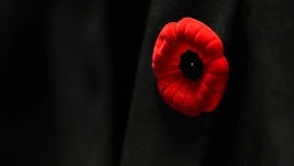 Poppy on the lapel of a dark suit jacket