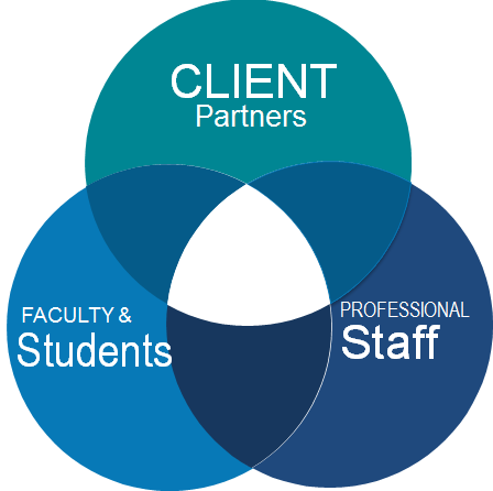 Venn diagram between client partners, students and faculty and professional staff