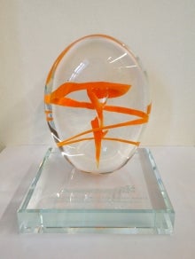modern solid  glass oval  award on glass stand