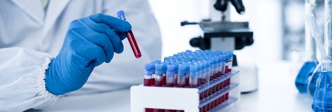 Researcher wearing lab coat and gloves places test tube of blood into a tray.