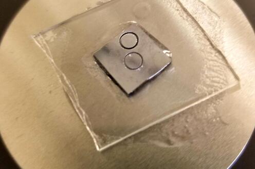 Discs cut into a silicon piece