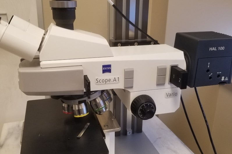 ZEISS Axioscope A1 microscope