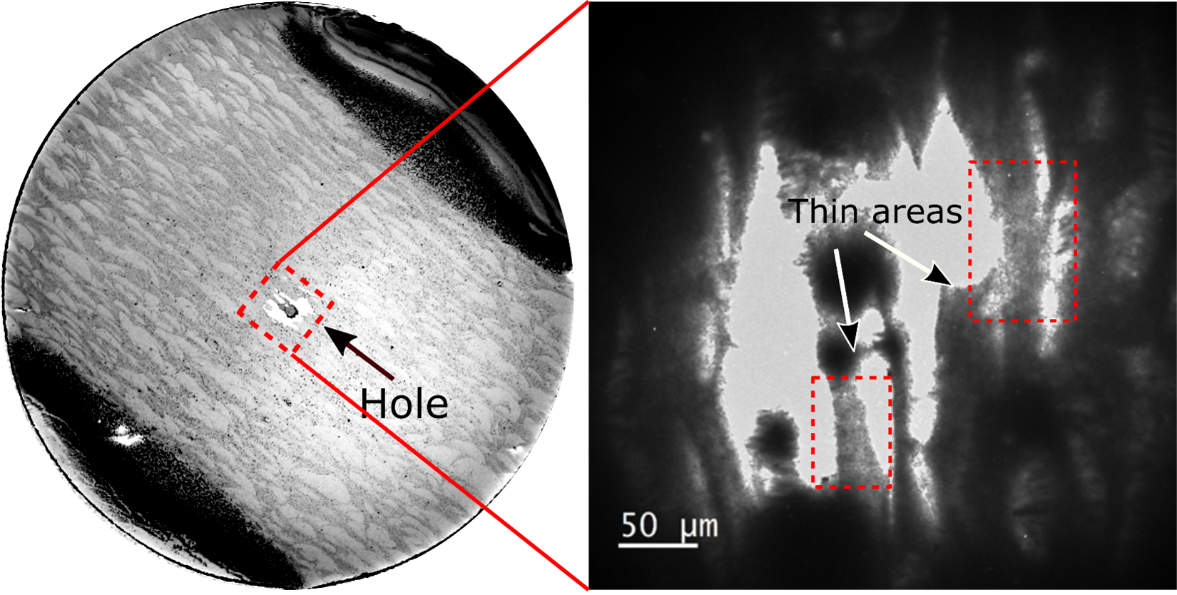 Electron micrograph of scalmalloy sample