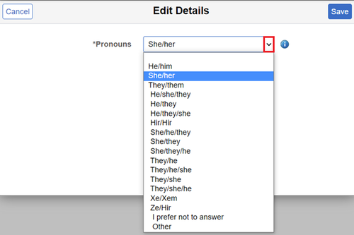 A drop-down list of available pronouns in Quest