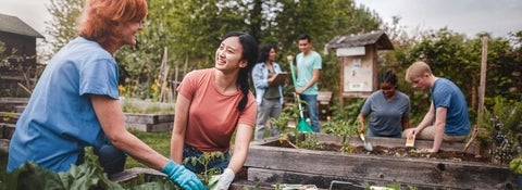 Group of mixed age adults work together in a community garden.
