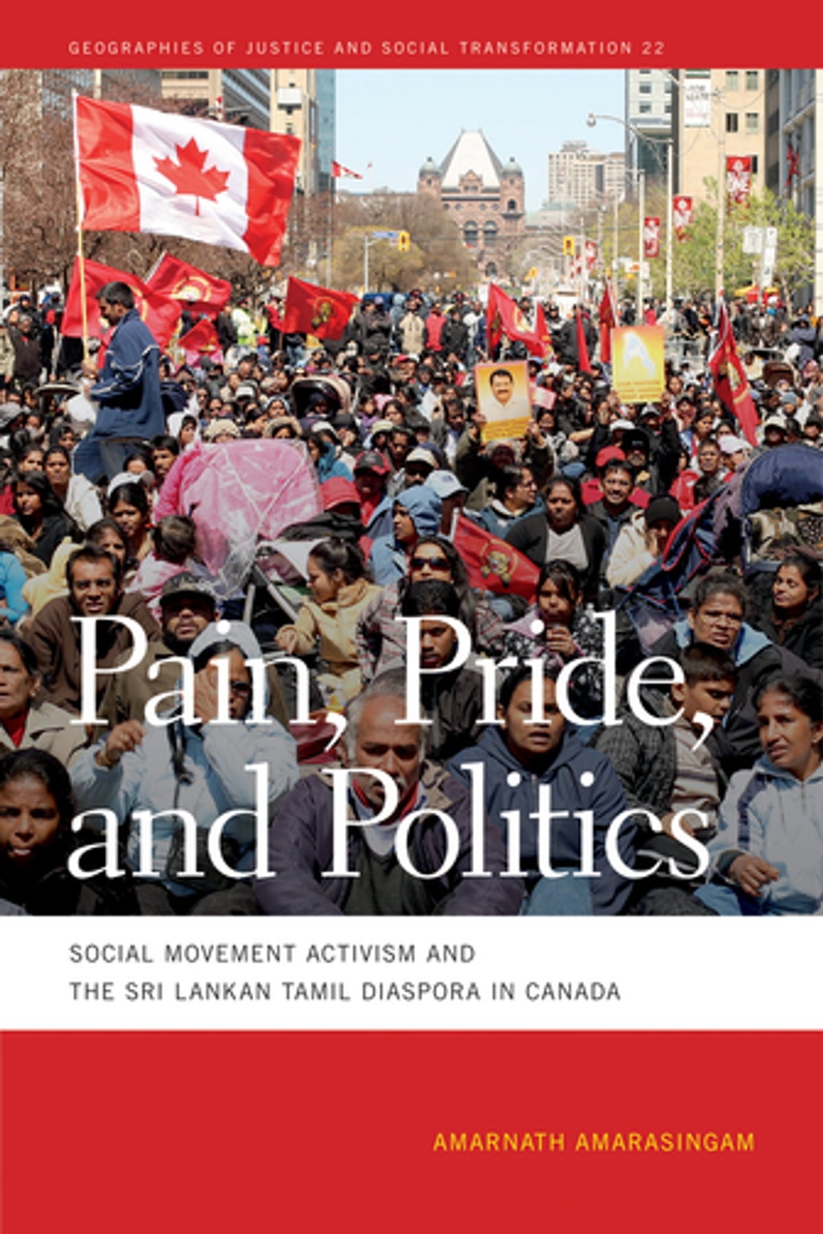 Pain, pride, and poltics cover