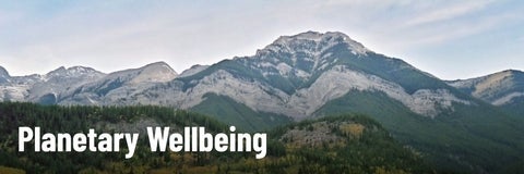 Landscape of Alberta's indigenous mountains and trees and text that says "Planetary Wellbeing"