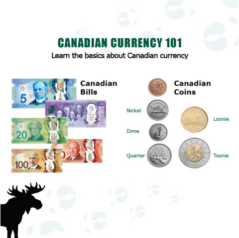 Canadian Currency is displayed on the screen, showing what each Canadian dollar bill and each Canadian coin looks like.