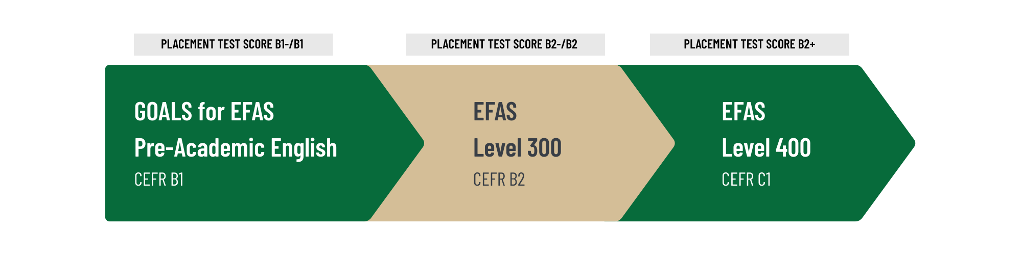Chart with three EFAS levels available and their English CEFR level
