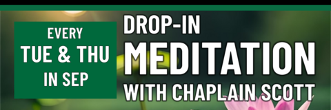 drop in meditation 
