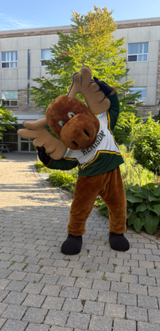 Reni Moose