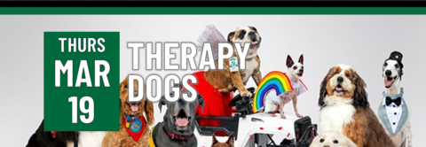 therapy-dogs-image