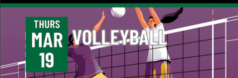 volleyball-image