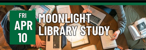 moonlight-library-study-image